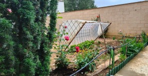 Jardín